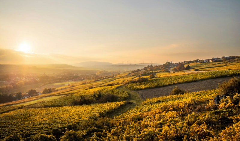 Bild Rheinland-Pfalz